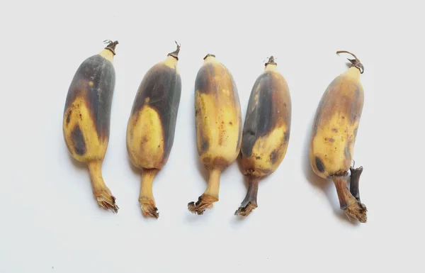 바나나 블랙몰디 바나나 배경에 분리되어 — 스톡 사진