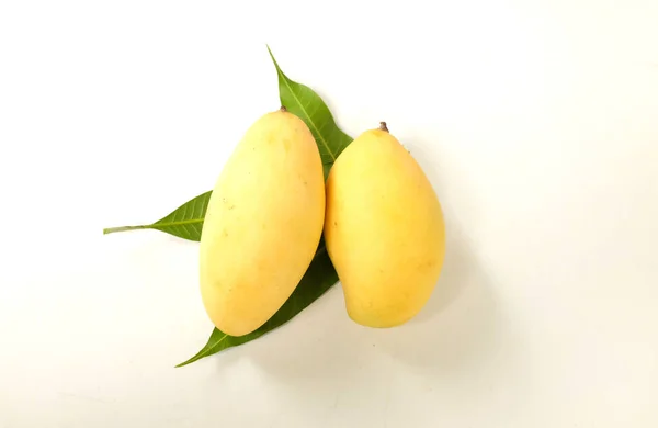 Kopierraum Frische Organische Reife Gelbe Mangofrüchte Und Blätter Isoliert Auf — Stockfoto