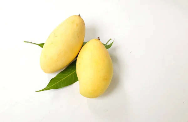 コピースペース 新鮮なオーガニック熟した黄色いマンゴー果実と白い背景に孤立した葉 タイの熱帯果物 — ストック写真