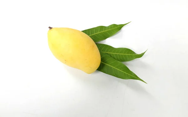 Kopierraum Frische Organische Reife Gelbe Mangofrüchte Und Blätter Isoliert Auf — Stockfoto
