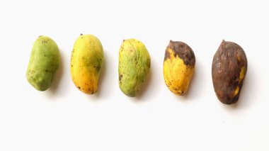 Üst ve düz mango yatar, kötü mango beyaz arka planda izole edilir. Atık gıda kavramı