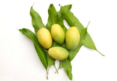 Fresh organik (Barracuda) mango meyvelerini hasırda kopyala ve beyaz arka planda bırak. Tayland 'da tropik meyve.