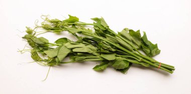 Üst görünüm, taze bir Chayote yaprağı (Sechium edule) ve beyaz zemine dayanır. Sağlıklı olmak için iyi sebze.