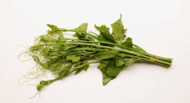 Üst görünüm, taze bir Chayote yaprağı (Sechium edule) ve beyaz zemine dayanır. Sağlıklı olmak için iyi sebze.