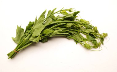 Üst görünüm, taze bir Chayote yaprağı (Sechium edule) ve beyaz zemine dayanır. Sağlıklı olmak için iyi sebze.