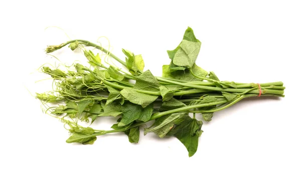トップビュー 新鮮なチョイテの葉 チョウムエッジ とホワイトバックドロップに茎 健康のために良い野菜 — ストック写真