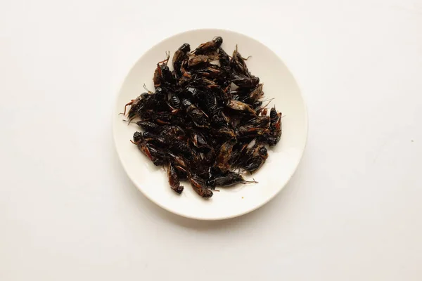 Insecte Frit Grillon Frit Maison Insectes Frits Avec Isolat Sel — Photo