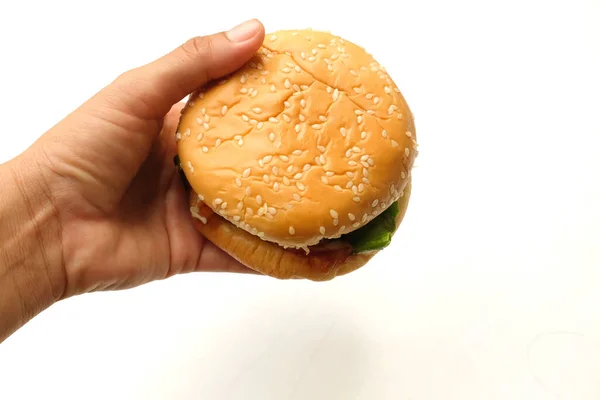 Вкусный Свежий Гамбургер Говяжий Пирог Огурцы Сыр Помидор Лук Салат — стоковое фото