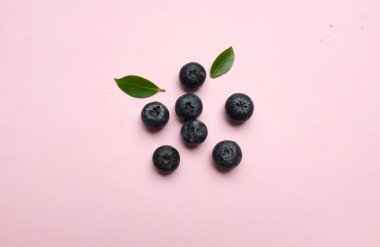 Taze, tatlı ve olgun yaban mersini (Aşı tarikatı) grubunu kapatın. Pembe pastel sırt damlasına izole edilmiş yeşil yapraklar. Sağlıklı dut, organik gıda, antioksidan, vitamin..