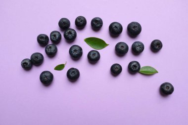 Taze, tatlı ve olgun yaban mersini (Aşı tarikatı) grubunu kapatın. Morumsu bir zemin üzerinde yeşil yapraklar izole edilmiş. Sağlıklı dut, organik gıda, antioksidan, vitamin..