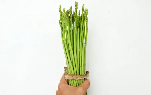 Женщина Держит Руку Свежие Зеленые Сырые Овощи Спаржи Asparagus Officinalis — стоковое фото