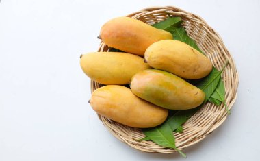 İştah açıcı sarı mango Mahachanok Mango (Mangifera indica L) hasır sepetin içinde beyaz arka planda izole edilmiş yapraklar. Tayland 'ın sağlıklı meyvesi. Yaz meyvesi.