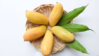 İştah açıcı sarı mango Mahachanok Mango (Mangifera indica L) hasır sepetin içinde beyaz arka planda izole edilmiş yapraklar. Tayland 'ın sağlıklı meyvesi. Yaz meyvesi.