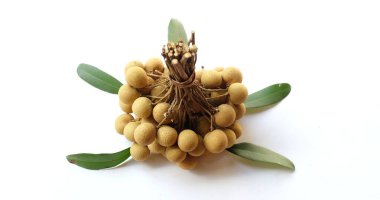 Taze olgun tatlı longan (dimocarpus longan) beyaz arka planda yaprak izole edilmiş meyveler. Taze doğal meyveler sağlıklı tropikal meyveler. Taze longan Thai meyveleri.