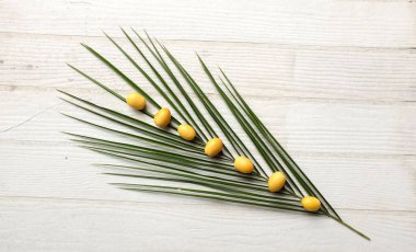 Taze palmiye anka kuşu dactylifera ya da beyaz arka planda yeşil yapraklı hurma meyvesi