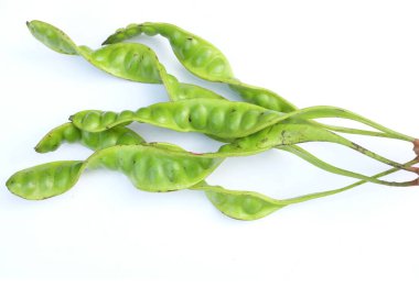 Acı fasulye, bükülmüş fasulye, pis kokulu fasulye, sato, petai veya pakria, (parkia speciosa) beyaz bir arkaplanda yemek pişirmeye hazırlan. Tayland ve Asya malzemeleri için bitkiler 