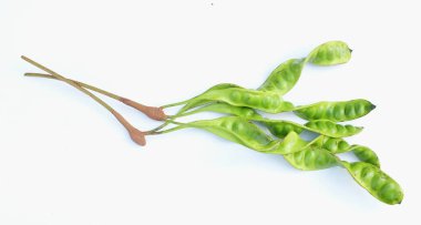 Acı fasulye, bükülmüş fasulye, pis kokulu fasulye, sato, petai veya pakria, (parkia speciosa) beyaz bir arkaplanda yemek pişirmeye hazırlan. Tayland ve Asya malzemeleri için bitkiler 