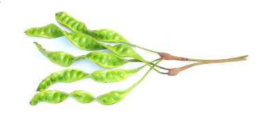 Acı fasulye, bükülmüş fasulye, pis kokulu fasulye, sato, petai veya pakria, (parkia speciosa) beyaz bir arkaplanda yemek pişirmeye hazırlan. Tayland ve Asya malzemeleri için bitkiler 