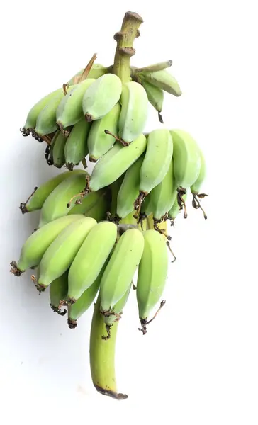 Vista Dall Alto Fresco Mazzo Banane Crude Verdi Coltivate Sono — Foto Stock
