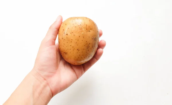 新鮮に掘られたジャガイモ 白い背景に隔離された手の若いジャガイモ — ストック写真
