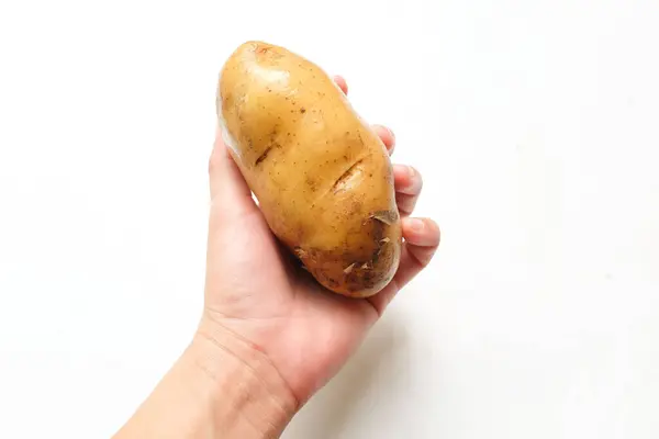 Young Freshly Dug Potatoes Young Potatoes Hands Asian Woman Isolated — Stock Photo, Image