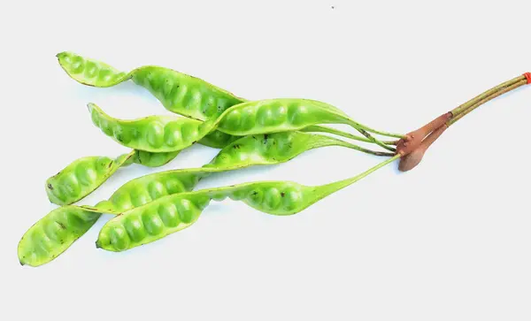 扭曲的丛生豆 豌豆或番石榴 Parkia Speciosa 准备用白色背角烹调分离物 — 图库照片