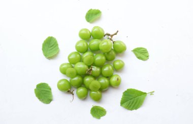 Beyaz arka fonda izole edilmiş taze tatlı yeşil Muscat (Vitis vinifera) üzüm ve yaprağı. Japon üzümleri. Üzüm yeşili. Tadı tatlı ve doğal.