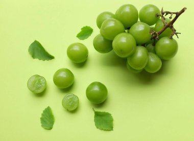 Bir demet taze yeşil parlak muscat (vitis vinifera) üzüm ve yaprak yeşil arka planda izole edilir. Japon üzümleri. Üzüm yeşili. Tatlı ve doğal.