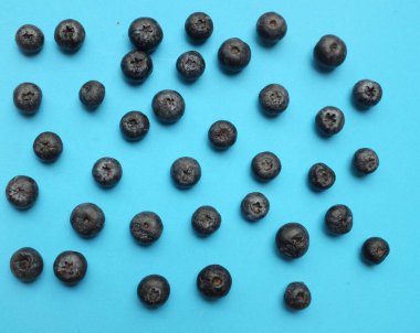 Mavi arka planda lezzetli taze sulu böğürtlenli düz kompozisyon. Sağlıklı yeme kavramı. Organik gıda, antioksidan, vitamin, mavi gıda. Yabanmersini desenli. Berrie taze.