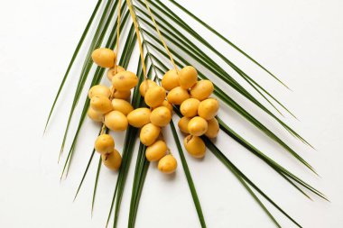 Palmiye ağaçlarının meyveleri... Dactylifera ya da hurma ağaçları...