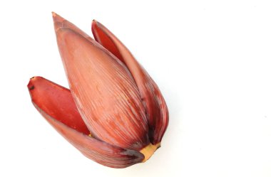 Beyaz arka planda kırmızı, taze muz çiçeği.