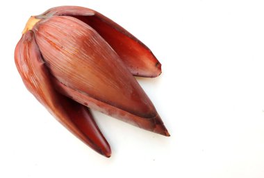 Beyaz arka planda kırmızı, taze muz çiçeği.