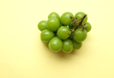 Bir demet taze tatlı yeşil muscat (Vitis vinifera) üzümü sarı arka fonda izole edilmiş. Yeşil üzümler. Japon üzümleri. Üzüm yeşili. Tadı tatlı ve doğal..
