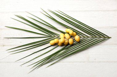 Palmiye ağaçlarının meyveleri... Dactylifera ya da hurma ağaçları...