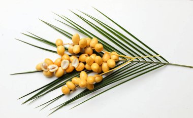 Palmiye ağaçlarının meyveleri... Dactylifera ya da hurma ağaçları...