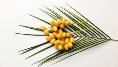 Palmiye ağaçlarının meyveleri... Dactylifera ya da hurma ağaçları...