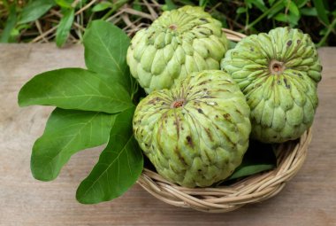 Taze yeşil kremalı elma, elma şekeri, annona cherimola (annona squamosa l.), sepetin içinde yaprak ve ahşap bir masa arkaplanı. Tropikal egzotik meyve ve sağlıklı meyve