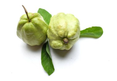 Taze yeşil çiğ Guava (Psidium guajava L.), yaprakları beyaz arkaplanda izole edilmiş. Tropik egzotik meyveler ve sağlıklı meyveler, diyet ve Tayland 'ın vejetaryen gıdası