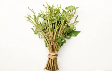 Bir demet taze yeşil organik su ıspanağı, su konvolvulusu, beyaz arka planda izole edilmiş sabah sebzesi. Yemek malzemeleri için besin ve vitamin dolu bir sebze.