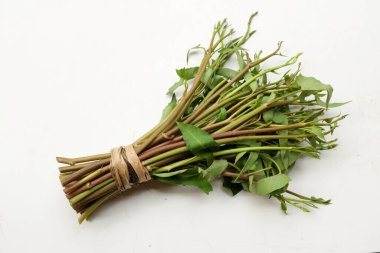 Bir demet taze yeşil organik su ıspanağı, su konvolvulusu, beyaz arka planda izole edilmiş sabah sebzesi. Yemek malzemeleri için besin ve vitamin dolu bir sebze.