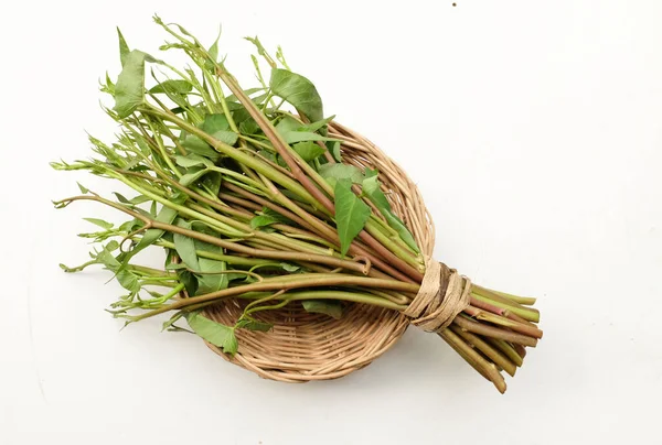 Bir demet taze yeşil organik su ıspanağı, su konvolvulusu, sepetin içinde sabah sebzesi beyaz arka planda izole edilmiş. Besin ve vitamin dolu sebze 