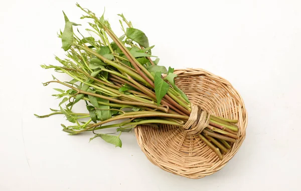 Bundle of fresh green organic water spinach, water convolvulus, morning glory  vegetable in the wicker basket isolated on white background. vegetable full of nutritions and vitamins