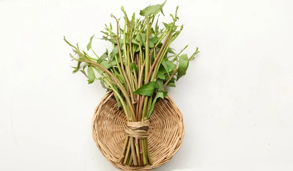 Bundle of fresh green organic water spinach, water convolvulus, morning glory  vegetable in the wicker basket isolated on white background. vegetable full of nutritions and vitamins
