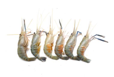 Taze çiğ karides, karides, Dev Tatlı Su Karidesi, Tatlı Su Karidesi, Dev Nehir Karidesi (Macrobrachium Rosenbergii) Mutfakta beyaz arka planda izole edilmiş deniz ürünleri pişirmek için.