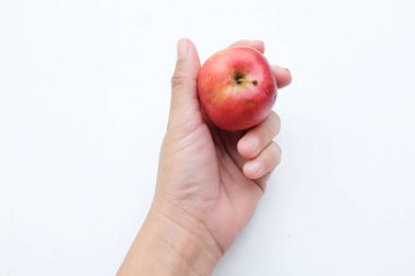 Taze organik, olgun kırmızı cüce elma, prenses elması, mini elma, küçük elma, kiraz elması insan eliyle izole edilmiş kırmızı elmalar. sağlıklı meyve kavramı