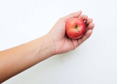 Taze organik, olgun kırmızı cüce elma, prenses elması, mini elma, küçük elma, kiraz elması insan eliyle izole edilmiş kırmızı elmalar. sağlıklı meyve kavramı