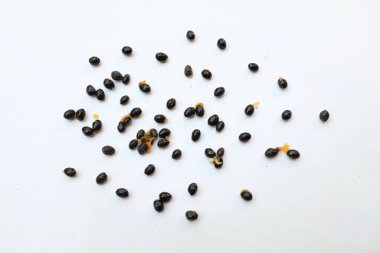 Olgun papaya tohumları beyaz bir zeminde izole edilmiş.