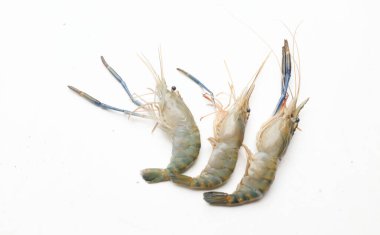 Taze çiğ karides, karides, Dev Tatlı Su Karidesi, Tatlı Su Karidesi, Dev Nehir Karidesi (Macrobrachium Rosenbergii) Mutfakta beyaz arka planda izole edilmiş deniz ürünleri pişirmek için.