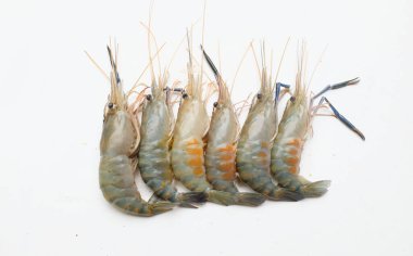 Taze çiğ karides, karides, Dev Tatlı Su Karidesi, Tatlı Su Karidesi, Dev Nehir Karidesi (Macrobrachium Rosenbergii) Mutfakta beyaz arka planda izole edilmiş deniz ürünleri pişirmek için.