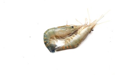 Taze çiğ karides, karides, Dev Tatlı Su Karidesi, Tatlı Su Karidesi, Dev Nehir Karidesi (Macrobrachium Rosenbergii) Mutfakta beyaz arka planda izole edilmiş deniz ürünleri pişirmek için.